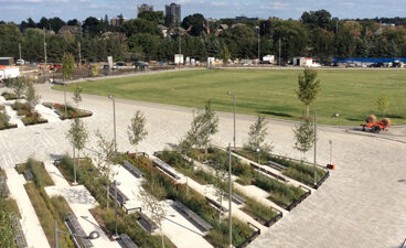 South Court area with the Great Lawn in the background at TD Place