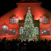 Image showing the tree lighting ceremony at TD Place