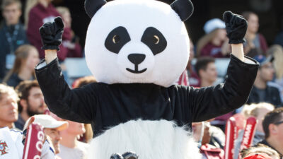 Image of a fan in a Panda costume