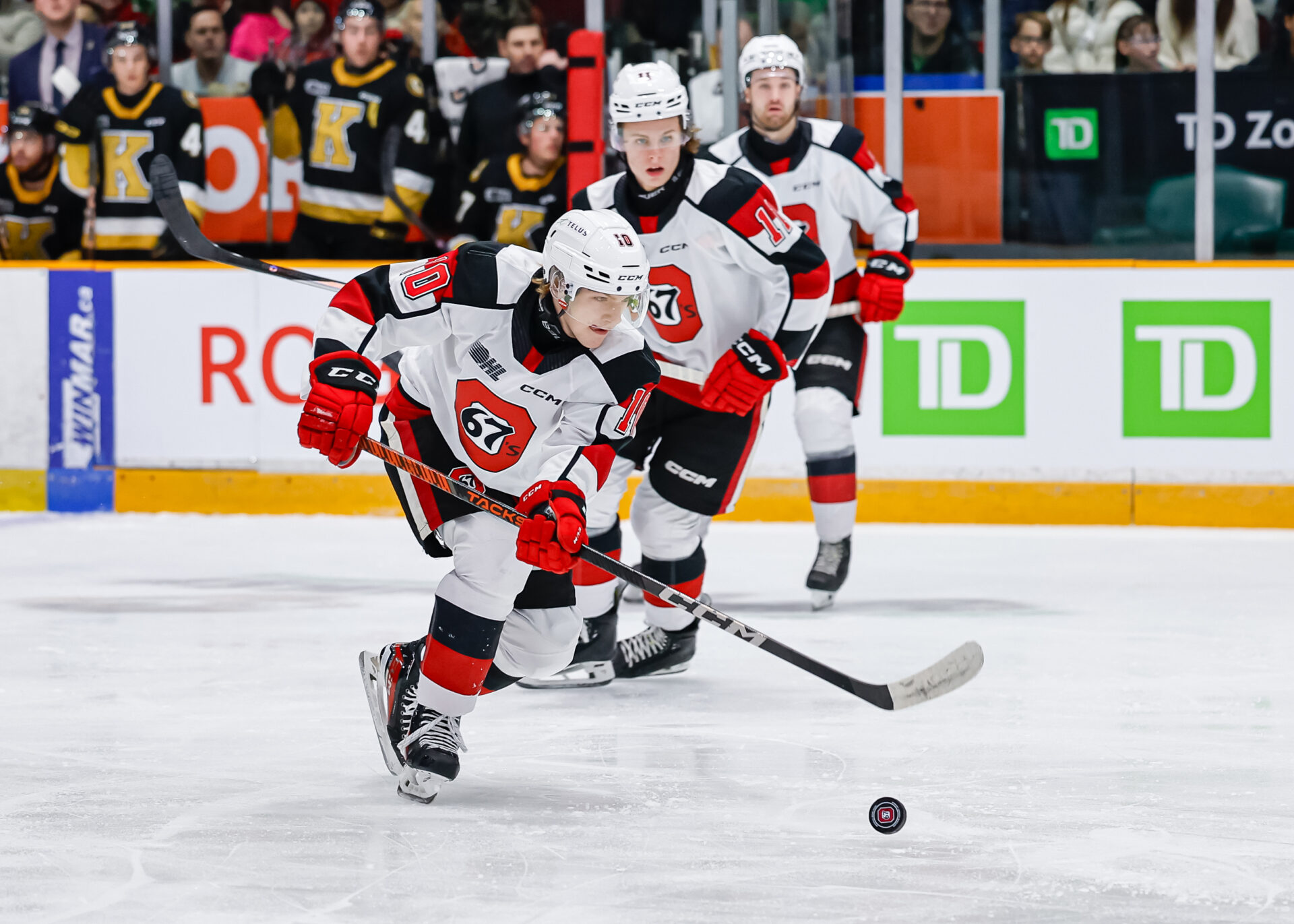 67s players on the ice playing at TD Place, Ottawa