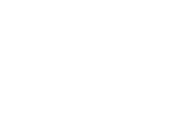 PWHL Ottawa logo